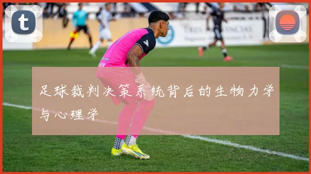 足球裁判决策系统背后的生物力学与心理学