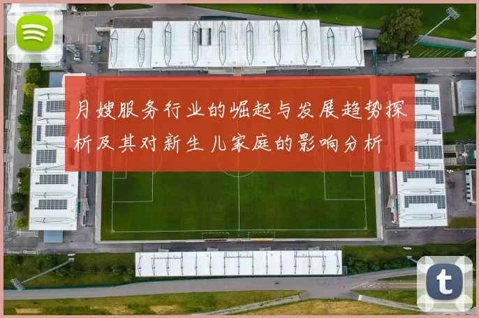 月嫂服务行业的崛起与发展趋势探析及其对新生儿家庭的影响分析