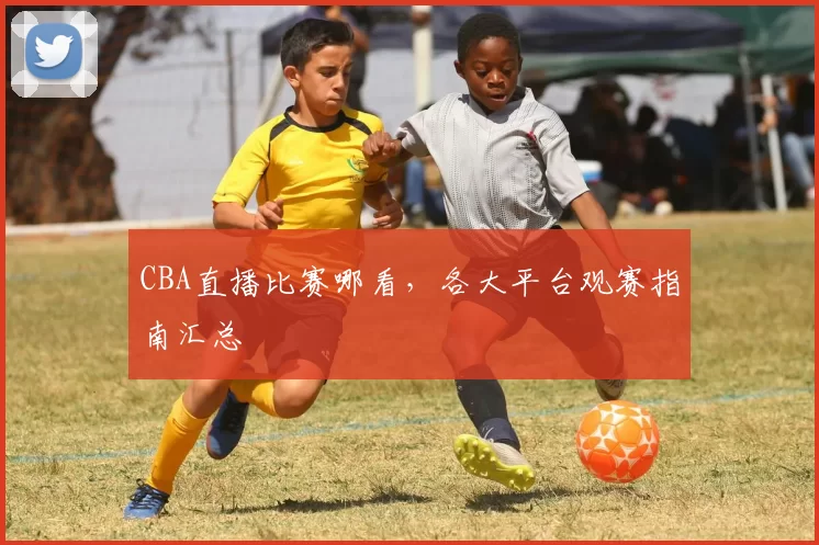 CBA直播比赛哪看,各大平台观赛指南汇总