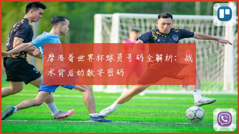 摩洛哥世界杯球员号码全解析:战术背后的数字密码
