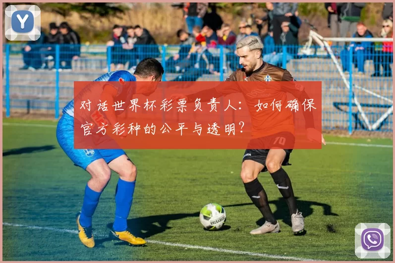 对话世界杯彩票负责人：如何确保官方彩种的公平与透明？