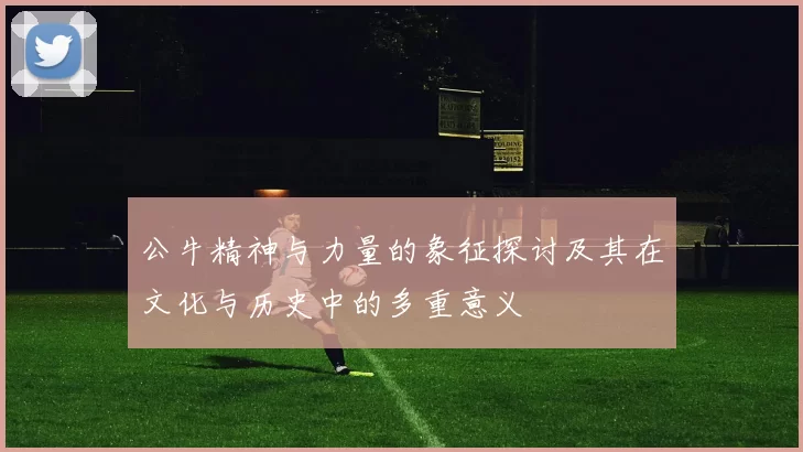 公牛精神与力量的象征探讨及其在文化与历史中的多重意义