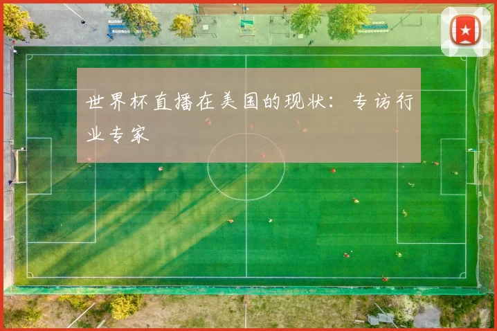 世界杯直播在美国的现状:专访行业专家