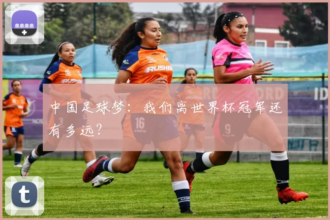 中国足球梦：我们离世界杯冠军还有多远？