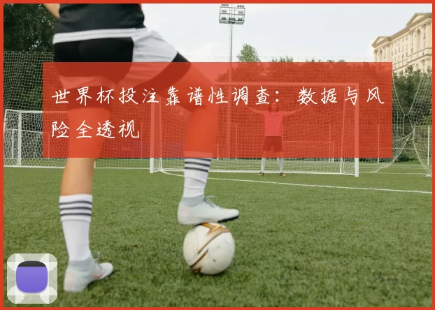 世界杯投注靠谱性调查：数据与风险全透视