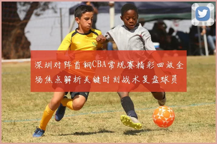 深圳对阵首钢CBA常规赛精彩回放全场焦点解析关键时刻战术复盘球员表现盘点