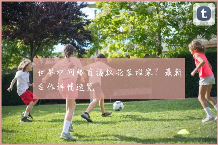 世界杯网络直播权花落谁家？最新合作详情速览