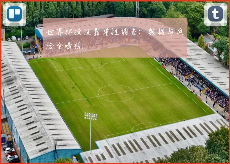 世界杯投注靠谱性调查：数据与风险全透视