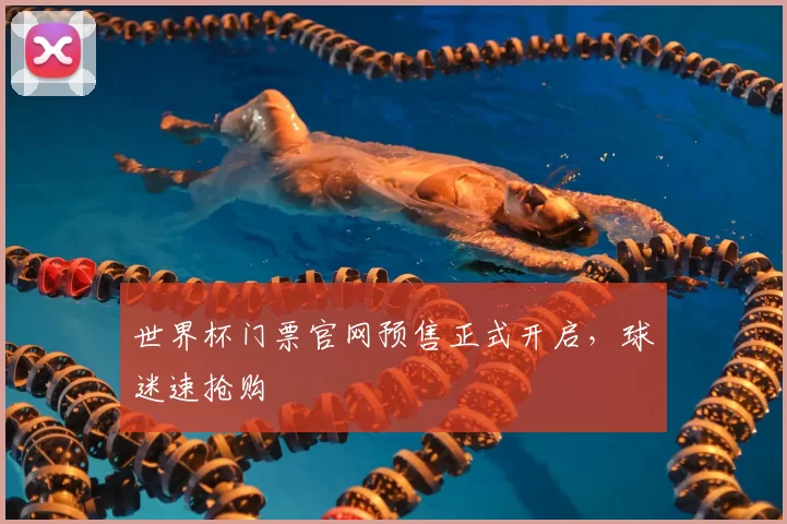 世界杯门票官网预售正式开启，球迷速抢购
