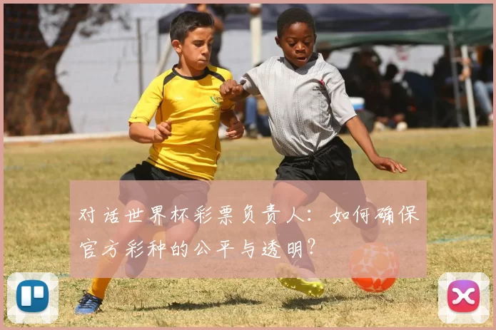 对话世界杯彩票负责人:如何确保官方彩种的公平与透明?