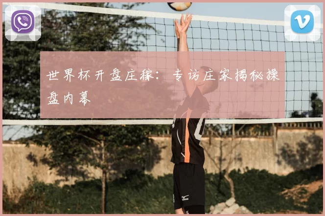 世界杯开盘庄稼:专访庄家揭秘操盘内幕