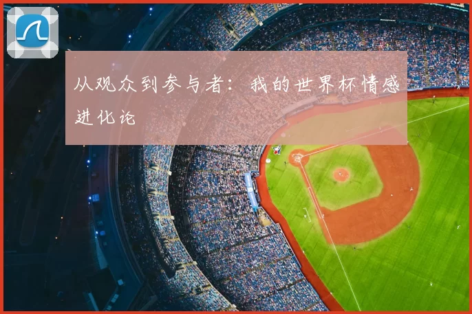 从观众到参与者：我的世界杯情感进化论